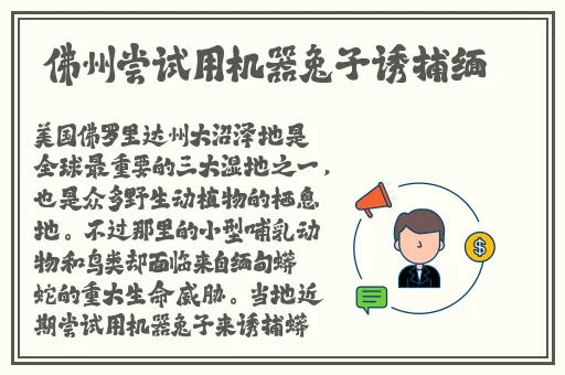 女婿见面他都要好几次
