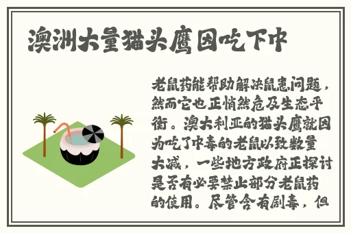 张津瑜VS吕总视频外网
